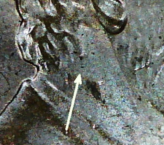 2004-P-1-DR-001-Found!-I'm-Pretty-Sure...,-Also-1-DO-001