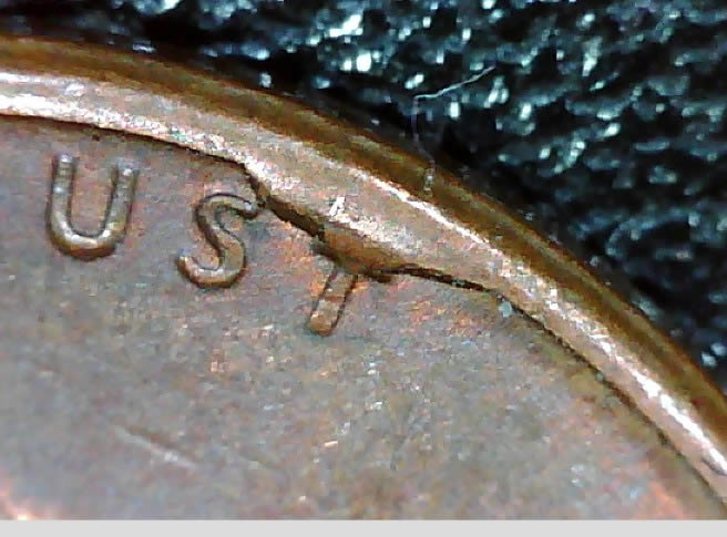 World's-Smallest-Cud?