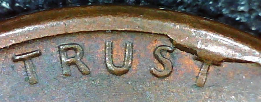 World's-Smallest-Cud?