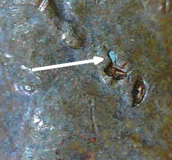 Strike-Through-With-Embedded-Debris?