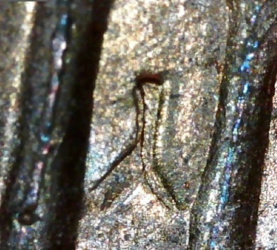 1983-P-Lincoln-Cent-With-Clashed-Die,-Large-Die-Crack,-Etc..