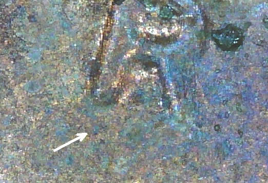 1972-P-1-DO-009?