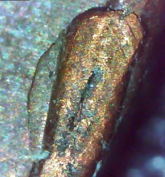 1982-P-LMC-Sd-Small-Cud?