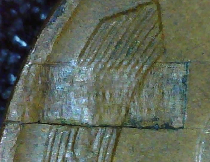 1942-P,-Lamination-Or-Struck-Through?