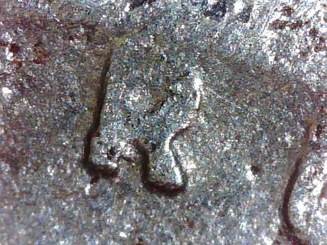 1943-S-1-DO-001-Found