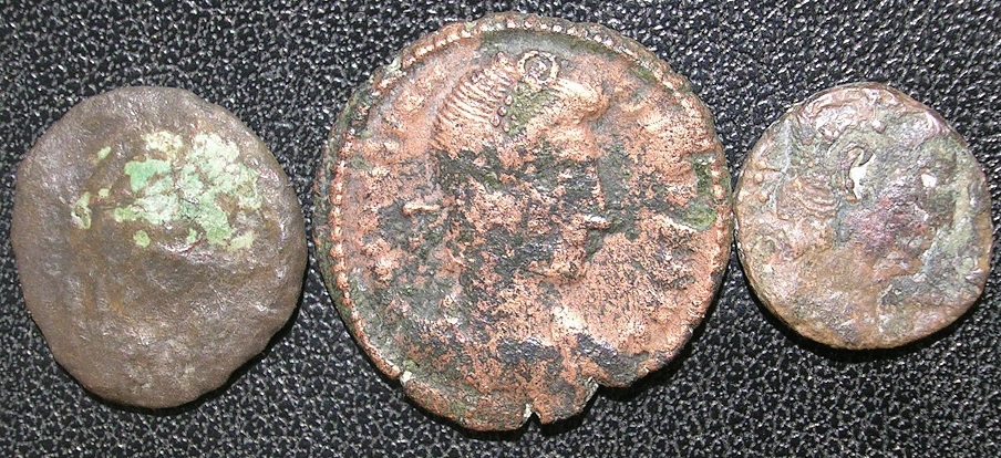 Please-Help-With-Identification