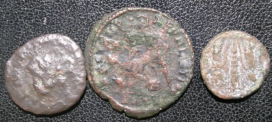 Please-Help-With-Identification