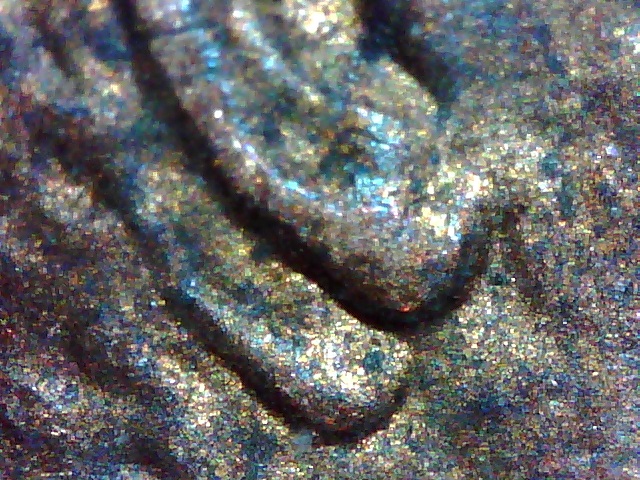 Looky,-Looky-What-I-Found-Today,-A-1984-P-LMC-1-DO-001-Double-Ear!