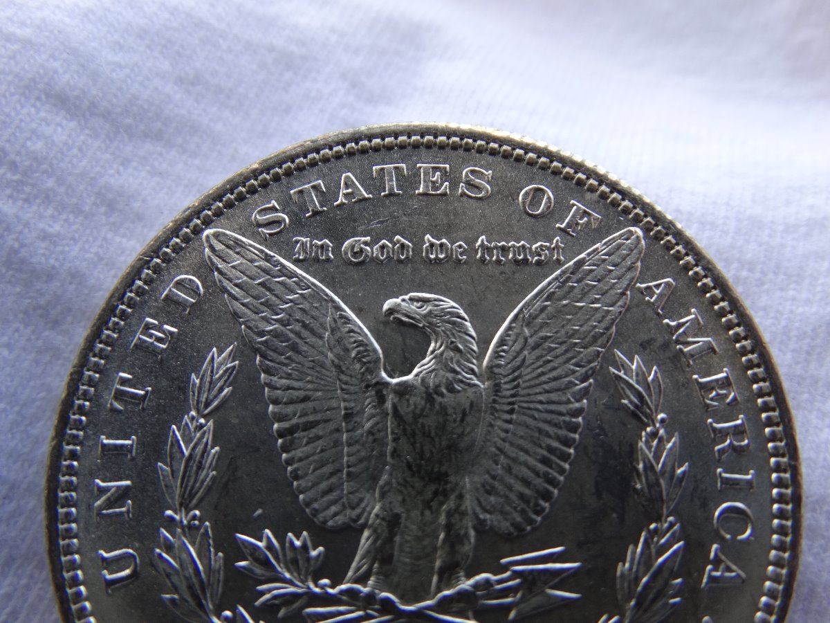1884-O-Morgan-Dollar-Assistance-Needed-Grading