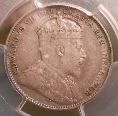 1904-H-Newfoundland-20-Cent--You-Vs.-PCGS-Grade-Posted