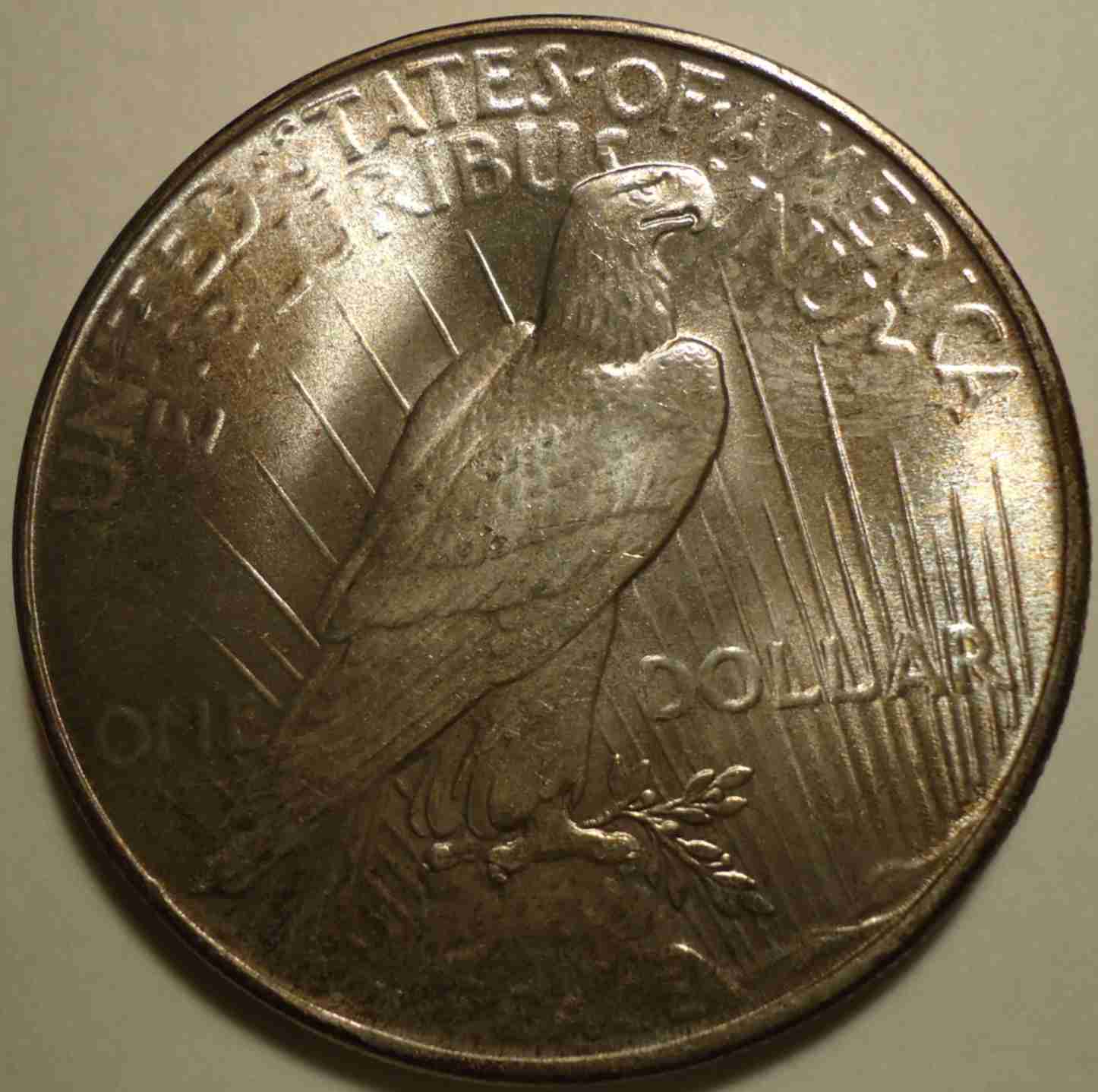 1934-Peace-Dollar-For-Grading