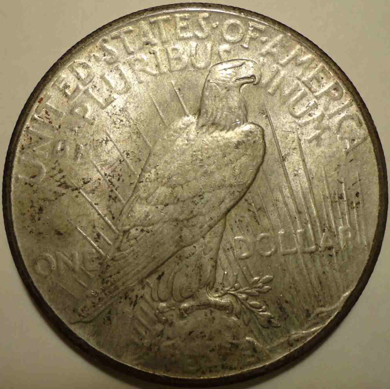 1928-Peace-Dollar-For-Grading
