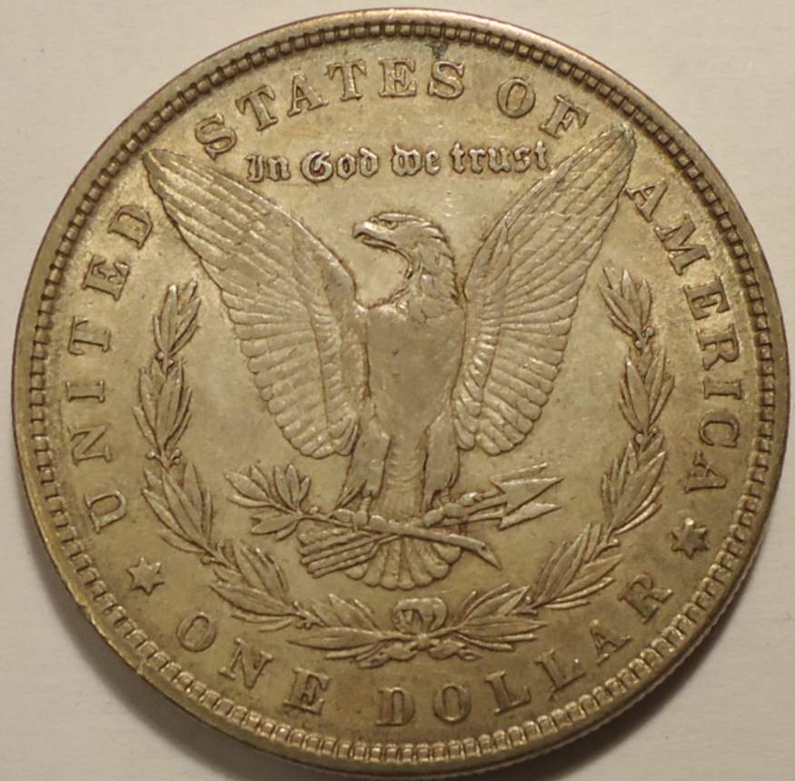 The-28-Days-Of-Morgan-Dollars!-Act-II