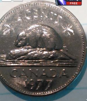 4-Consecutive-1977-