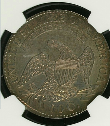 1828-Capped-Bust-Half-Dollar.-Looking-Seriously-At-This-One.