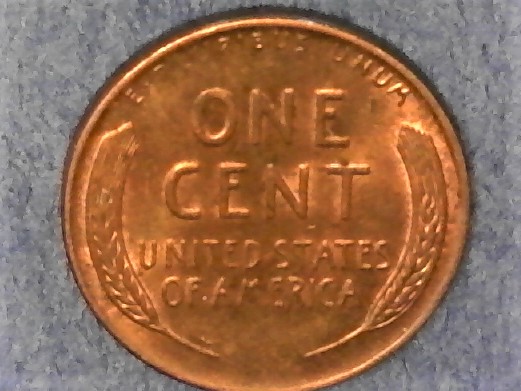 1956-D--Wheat-Cent-.-What-Say-You-?
