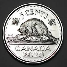 Not-All-My-Coins-Have-Bison-: