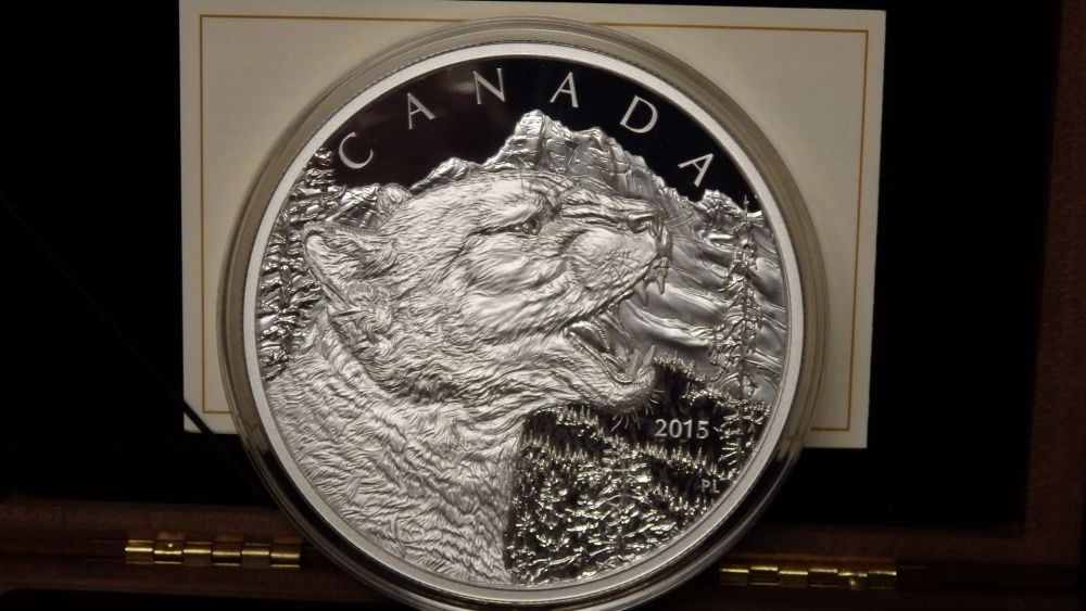 1/2-Kilo-Growling-Cougar
