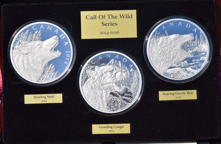 Call-Of-The-Wild-Series