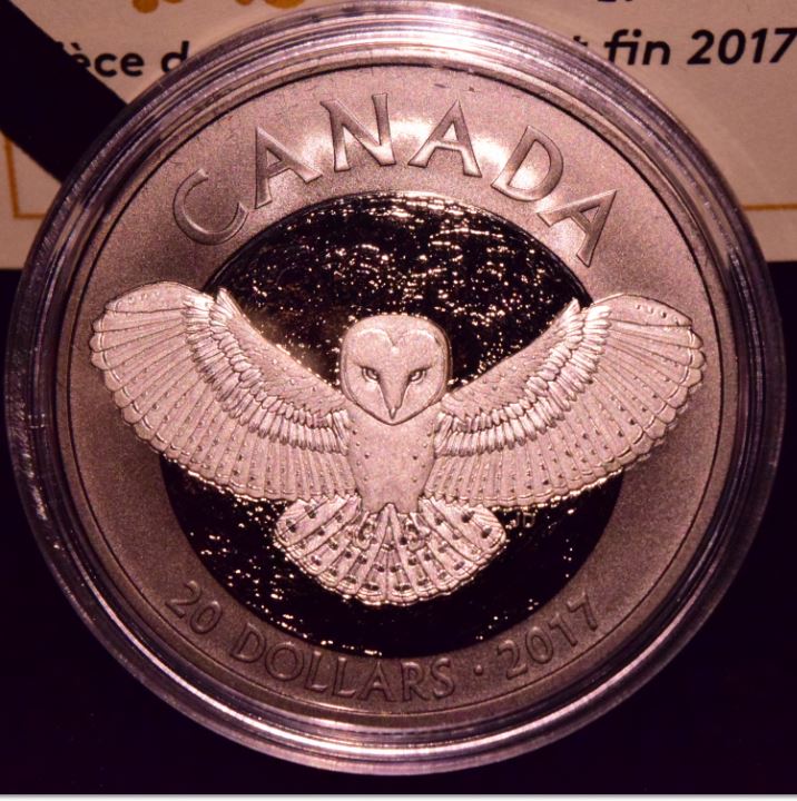 2017-Barn-Owl-With-Photos-And-Questions