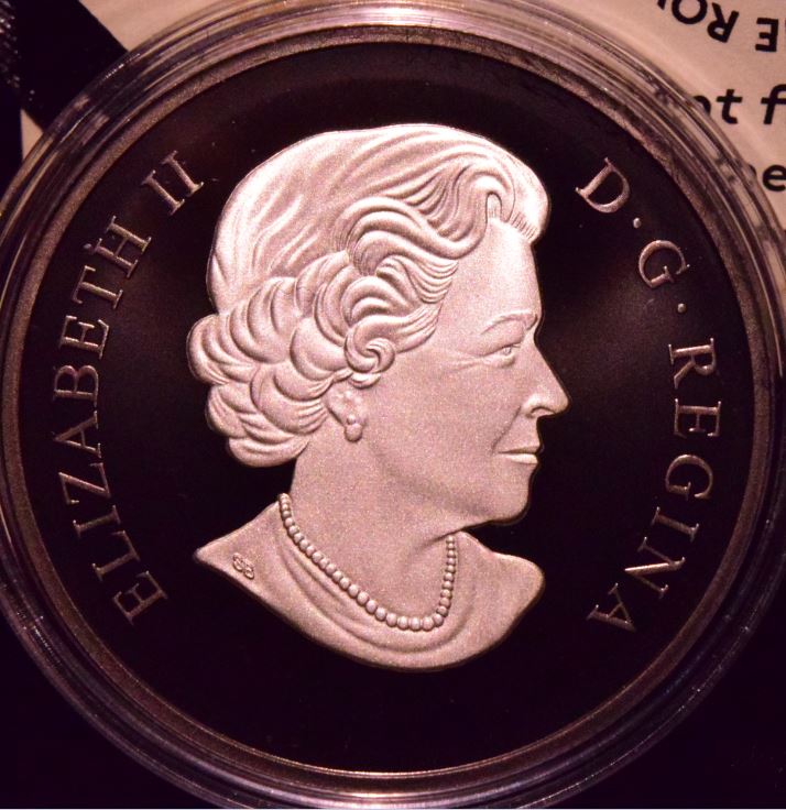 2017-Barn-Owl-With-Photos-And-Questions
