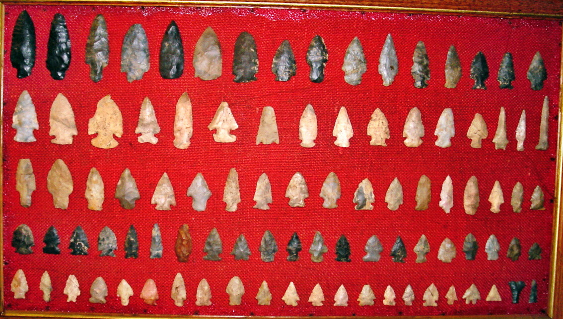 What-Else-Do-You-Collect?