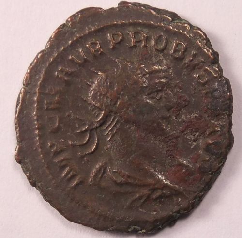 Probus-Xxi