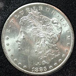Anyone-Have-Any-GSA-'S-They-Want-Sent-To-NGC-Grades-Are-In