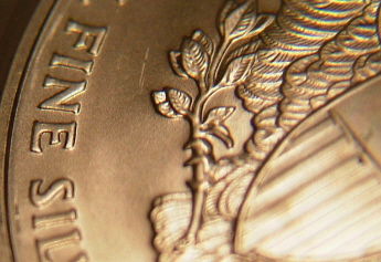 2007-Silver-Eagle-ICG-MS-70