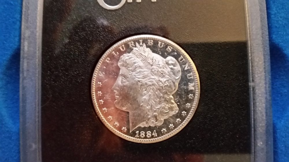 DMPL-84-CC-I-Bought-For-$225...i'm-Shocked-By-The-Beauty!!