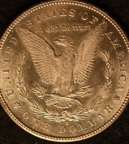 Just-For-Fun...the-Eagle-Is-About-To-Eat-An-Owl!