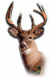Guess-The-Price---Season-16---Winner:-Cwb8539!
