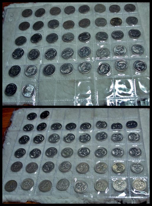 Question-About-The-5-Cent-Echidna-Series