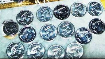 Question-About-The-5-Cent-Echidna-Series