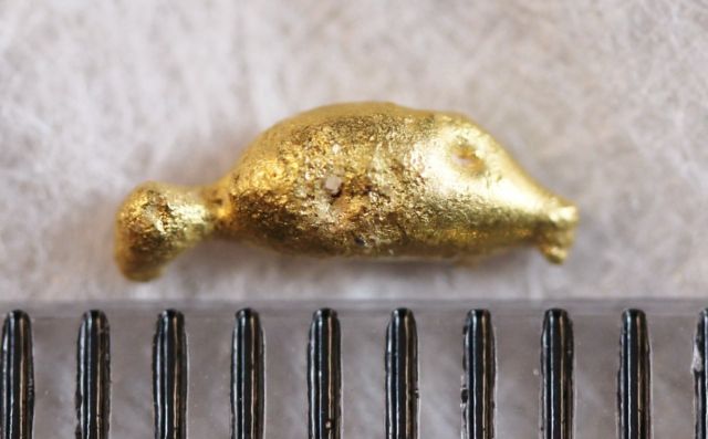 There's-Something-Fishy-About-This-Gold-Nugget