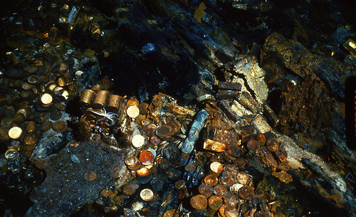A-Collection-Of-What-We-Love-In-Numismatic-History