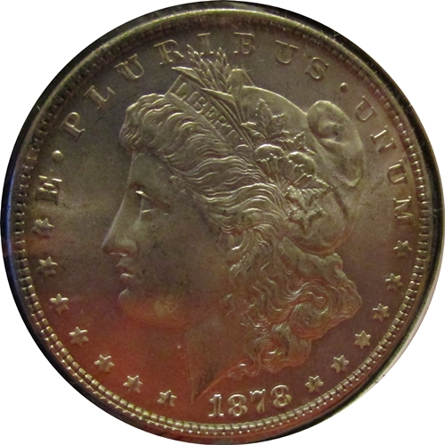 Please-Tell-Me-Which-Variety-Of-1878-Morgan-It-Is-I-Have-Here