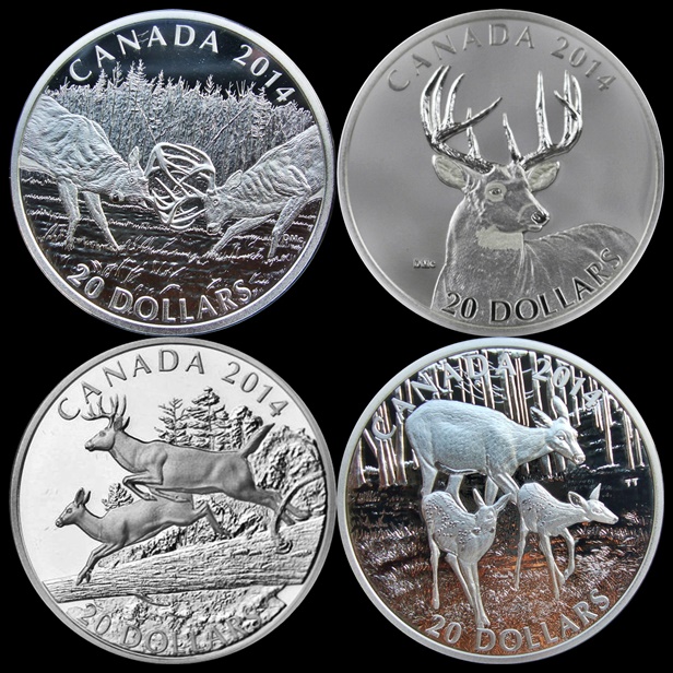 Went-Deer-Hunting-And-Filled-My-Tags---2014-$20-Whitetail-Deer-Set-Of-4