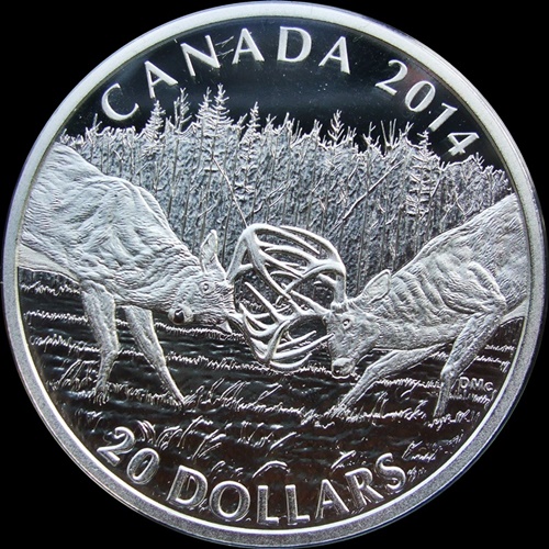 Canada-Silver-25-Cent-Bobcat-1967-Vs-2017---Which-One-Wins?