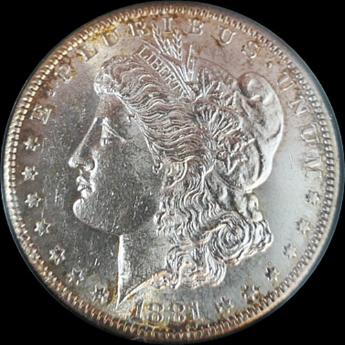 1881-S-Morgan-Dollar-Opinion-Please