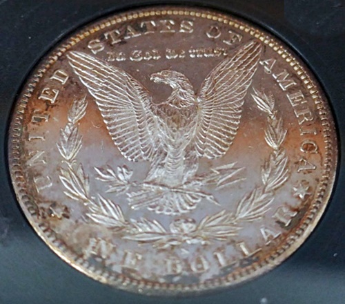 1881-S-Morgan-Dollar-Opinion-Please
