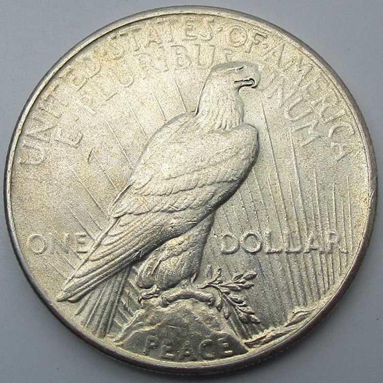 Going-Through-ANACS-Submission-Candidates-Grade-On-1935-Peace-Dollar-Please