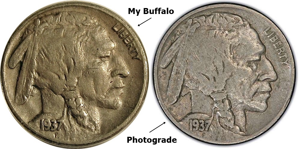 Graded-Buffalo-ANACS-Vs-Photograde