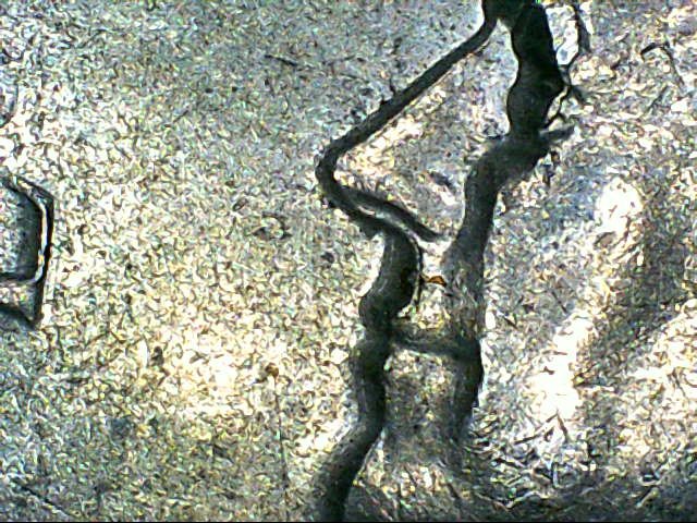 1980-D-Kennedy-Half-Dollar.-The-Devices-Looks-Smeared-Or-3-D.