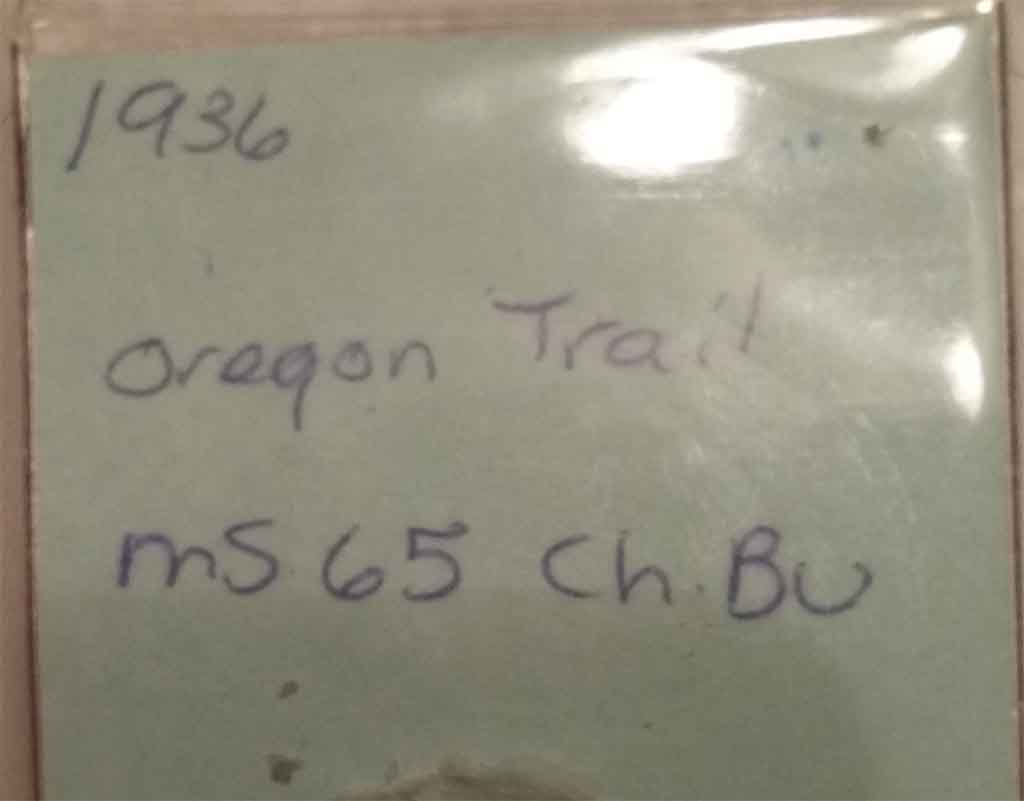 Question-On-Large-Collection