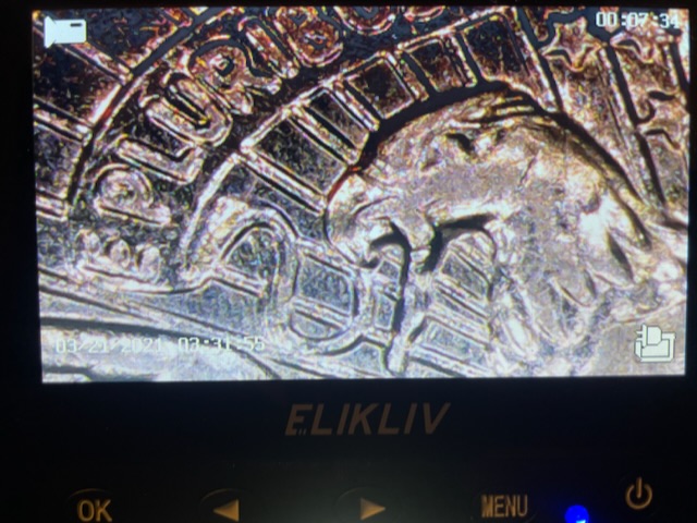 1981-P-Kennedy-Half-Dollar-Double-Die-Obverse/Reverse