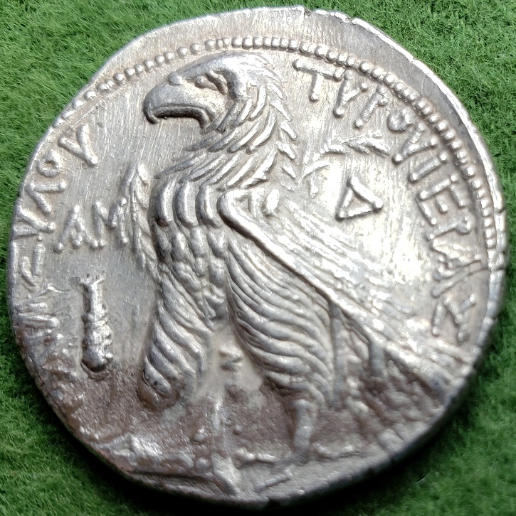 Tyre-Shekel-Real-Or-Fake?