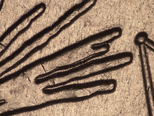 2013-P-25c-Fort-Mchenry-WDDR-010-Debunked