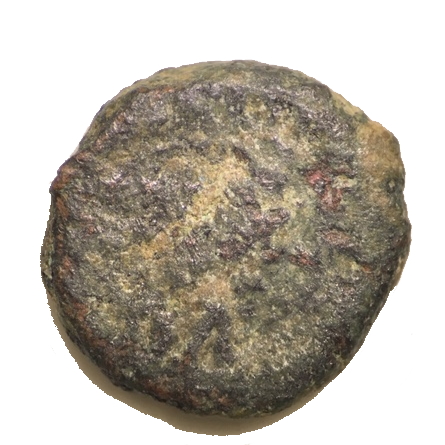 Two-Tiny-Ancients---Need-Help-Identifying