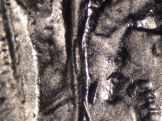 First-DDR-2014-P-Shenandoah-Quarter-Found